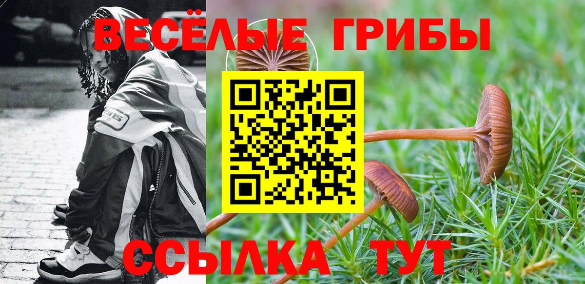 Псилоцибиновые грибы мицелий  Вход с VPN  Когалым 